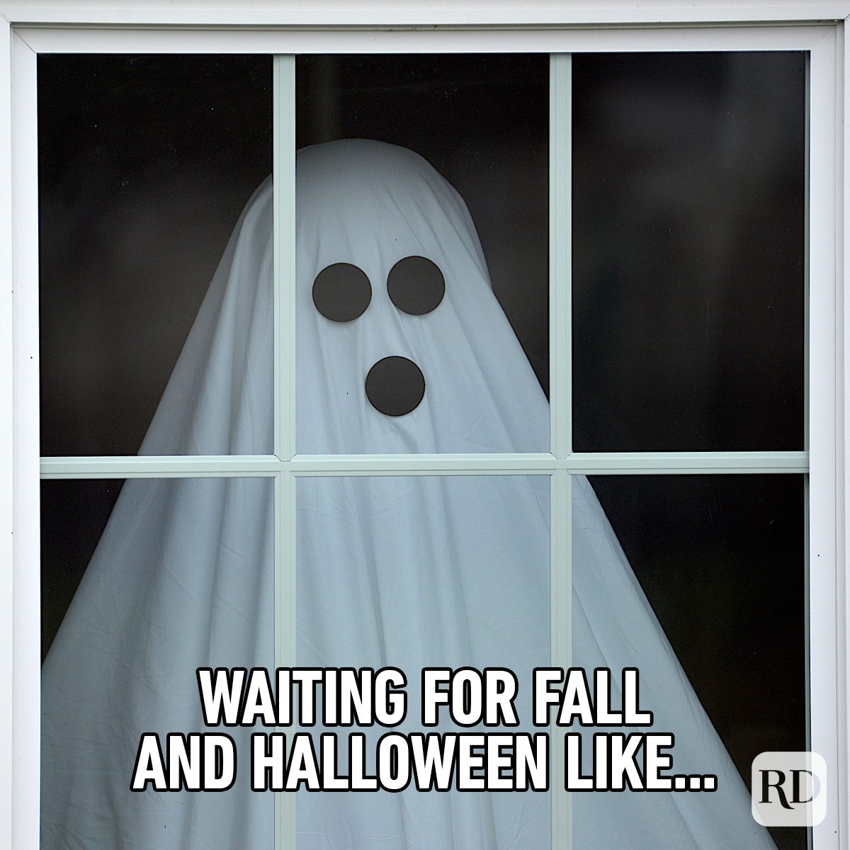 Funny Fall Memes To Perfectly Sum Up Autumns Humor