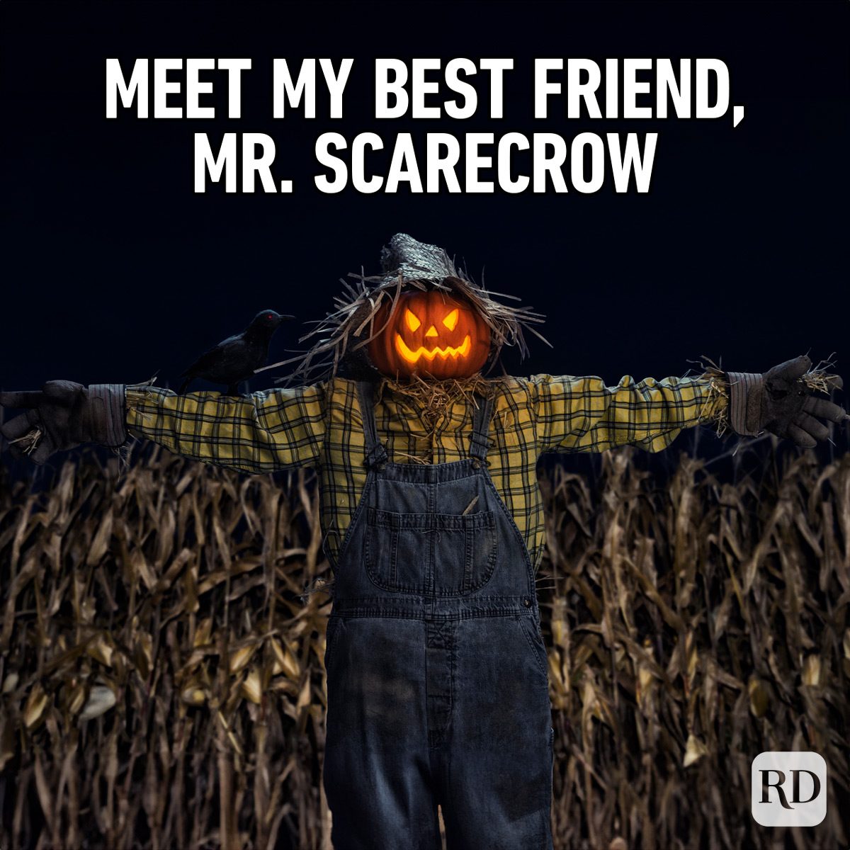 Funny Fall Memes To Perfectly Sum Up Autumns Humor