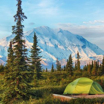 Tent sits quietly among trees, with a snowy mountain as the scenic backdrop under a clear blue sky.