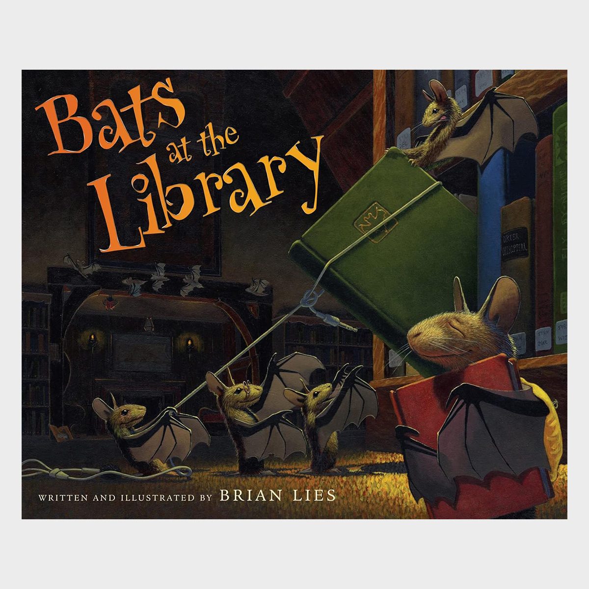 Bats At The Library Written And Illustrated By Brian Lies 