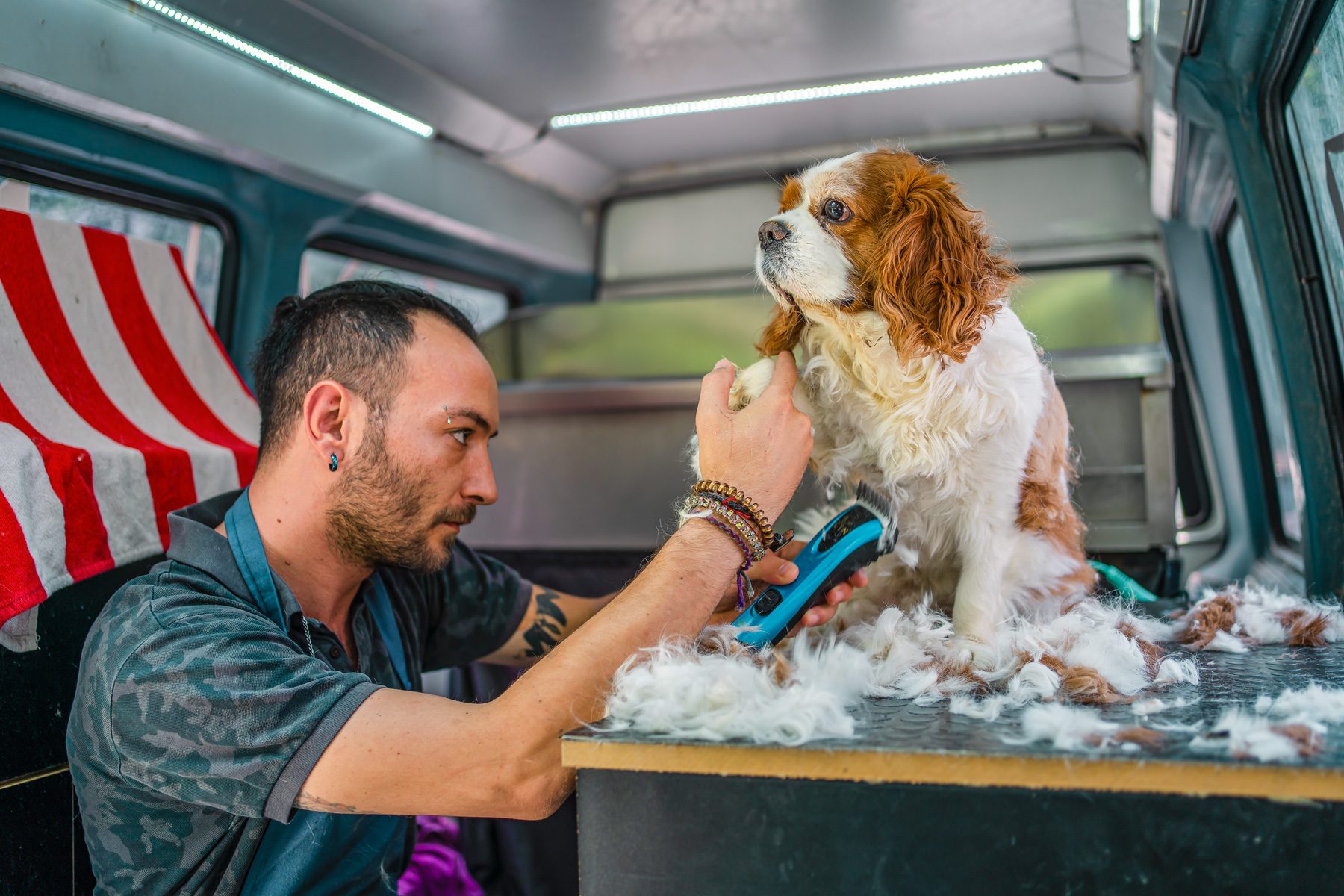 How Much To Tip A Dog Groomer In Every Type Of Situation 