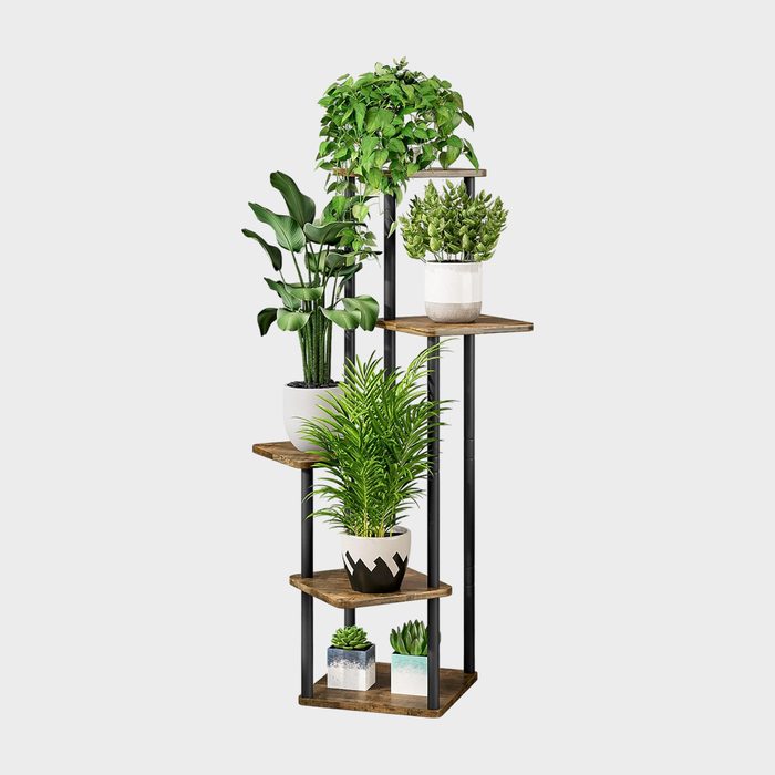 A multi-tiered wooden shelf displays various potted plants, each in white or patterned containers, against a plain white background.