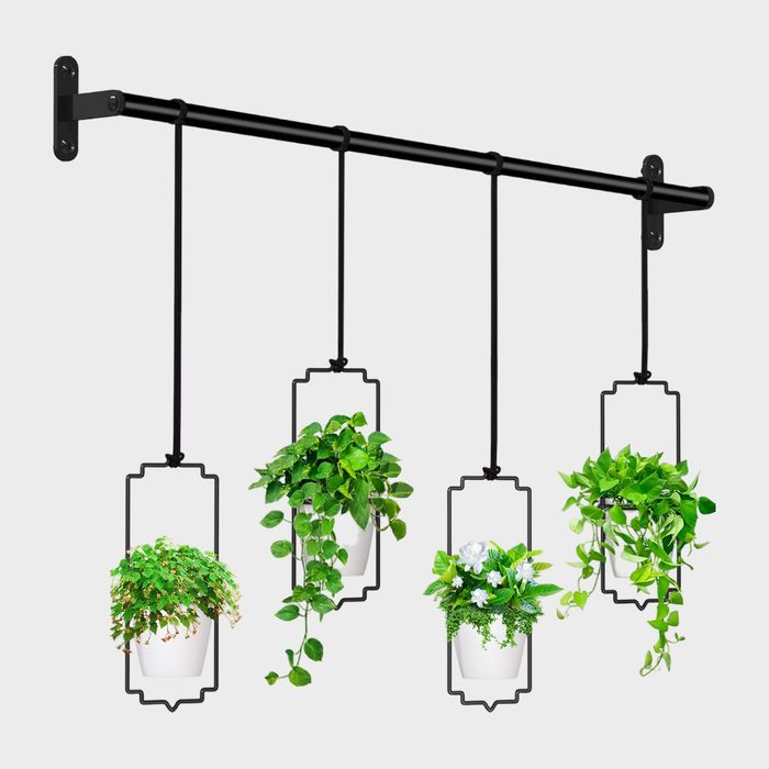 Potted plants hang from a horizontal metal rod with black strings, framed artistically, set against a plain white background.