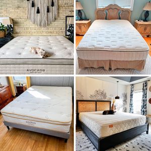 Mattresses displayed in bedrooms, each with distinct designs and settings; two have sleeping dogs. Text on mattresses: 
