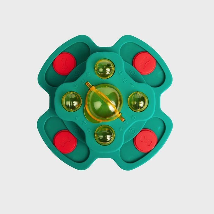 A green puzzle toy with yellow domes and red sliding tabs sits against a plain gray background, featuring paw prints and bone symbols.