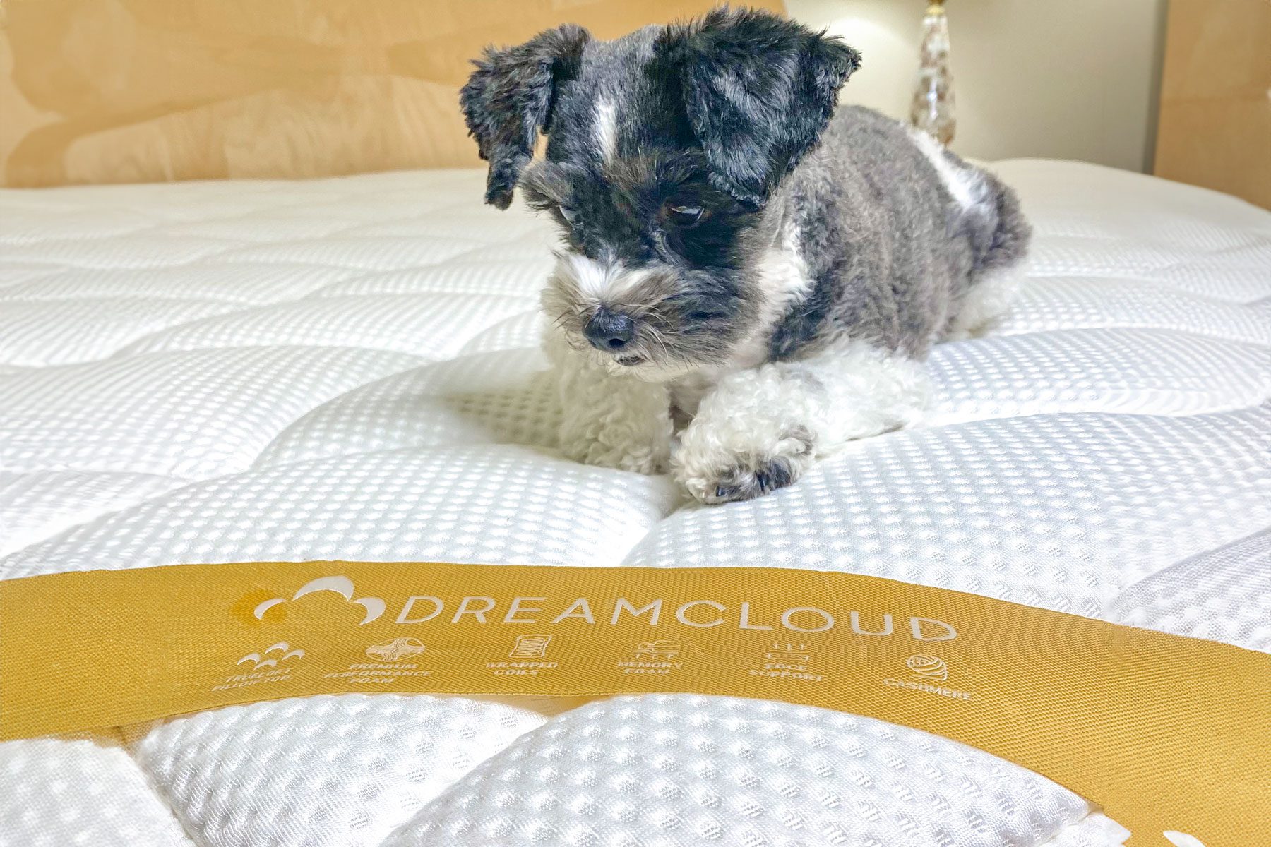 Rda24 Dreamcloud Premier Hybrid Mattress Jill Schildhouse 02 Otedit