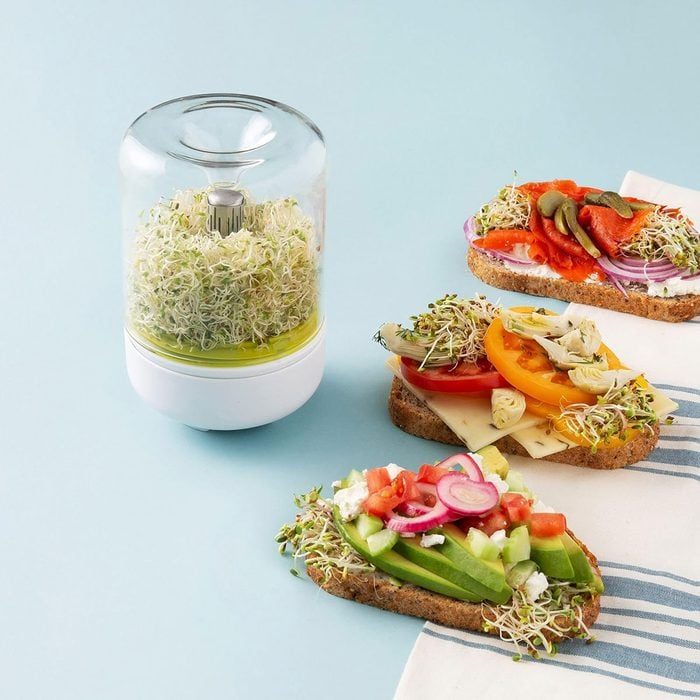 A jar holds sprouts on a blue surface, next to three sprout-topped open-faced sandwiches with colorful vegetables.