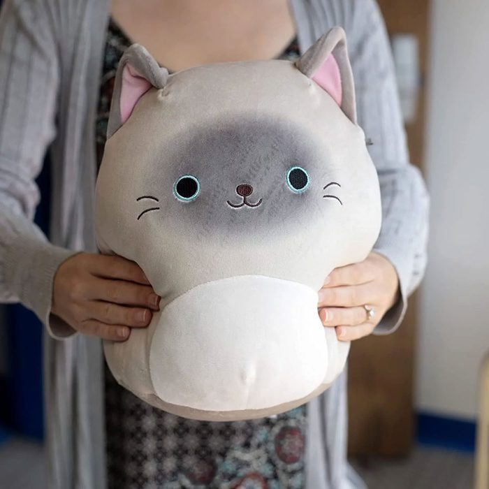 Stuffed cat pillow being held by a person; background includes a patterned dress and a light-colored cardigan.