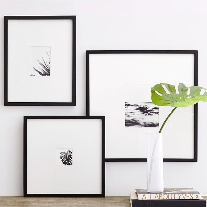 Frames display minimalist plant photos; a green leaf in a vase rests on books nearby, creating a modern, artistic setting.