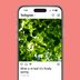 80 Spring Captions That Will Make Your Posts Pop