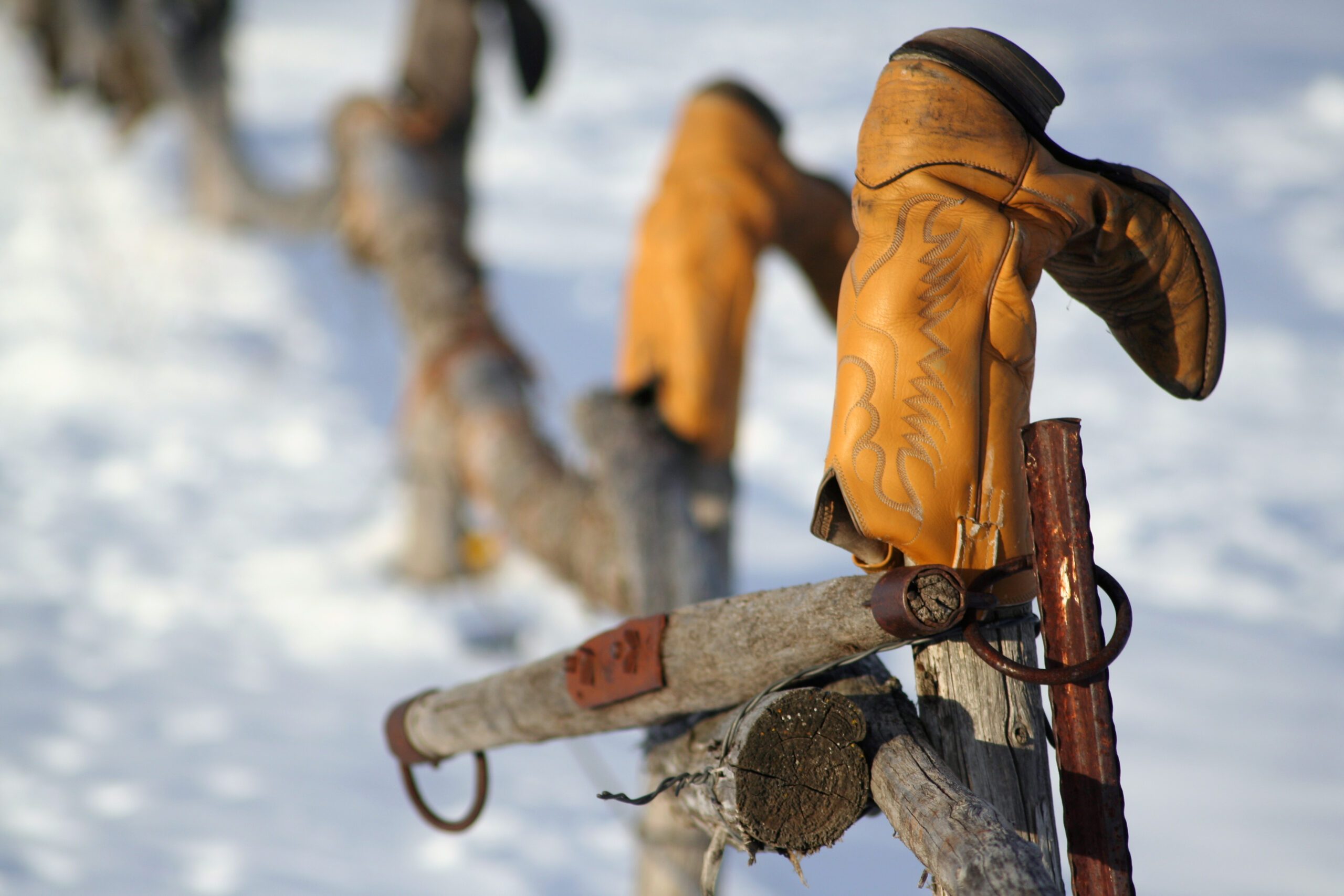 Cowboy Fence