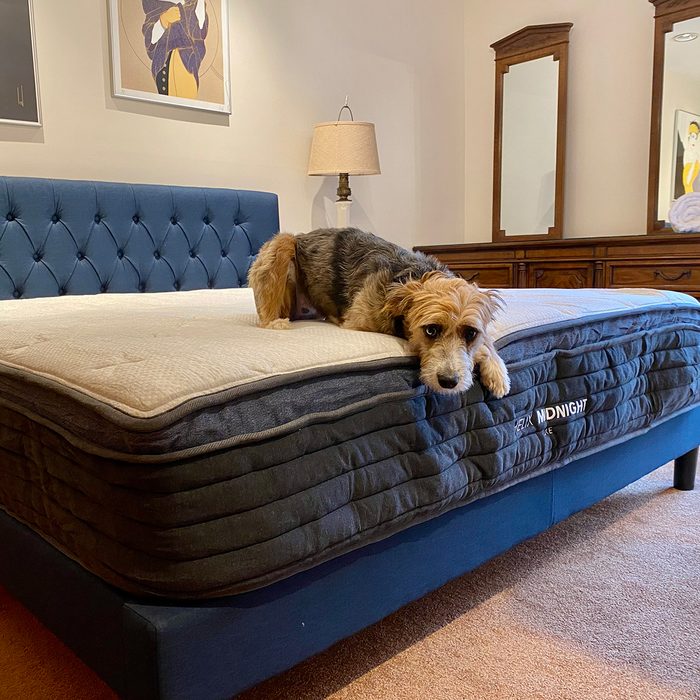 Helix Midnight Luxe Mattress