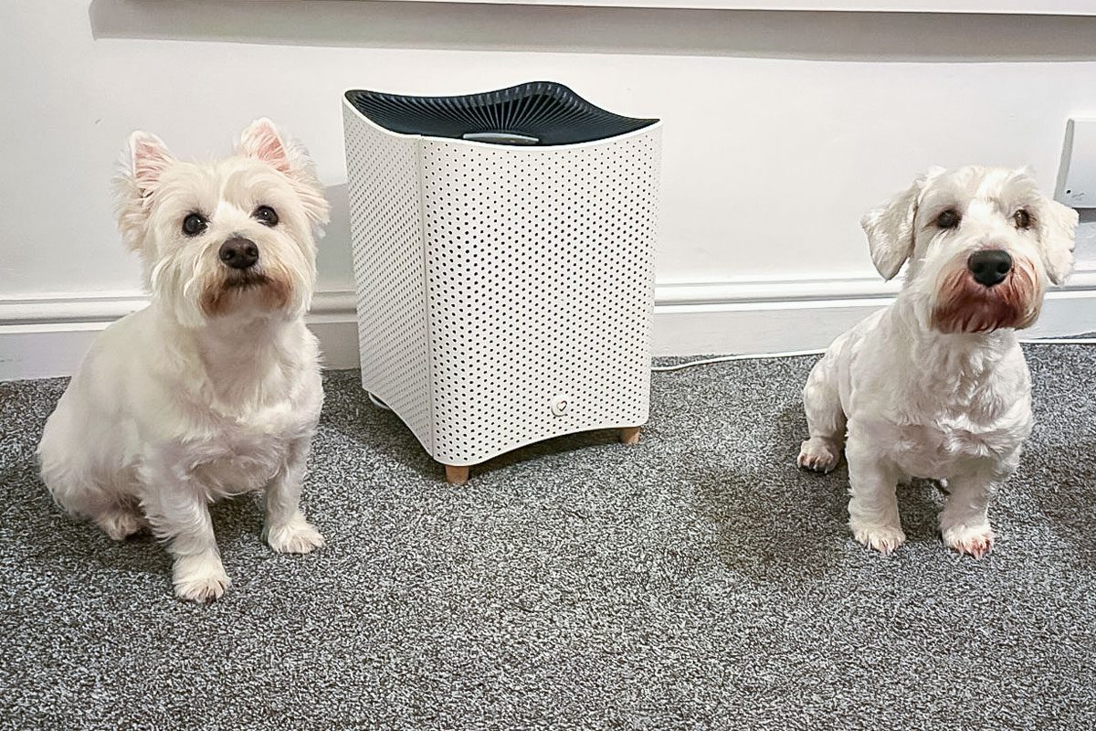 Mila Air Purifier
