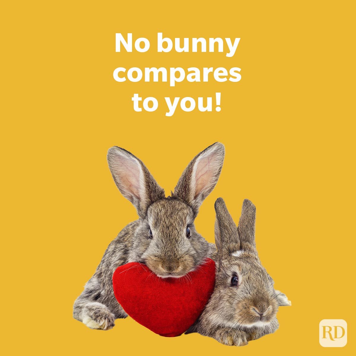 100 Egg Stra Funny Easter Puns To Break Out This Year No bunny compares to you on yellow background with two cute bunnies around a heart