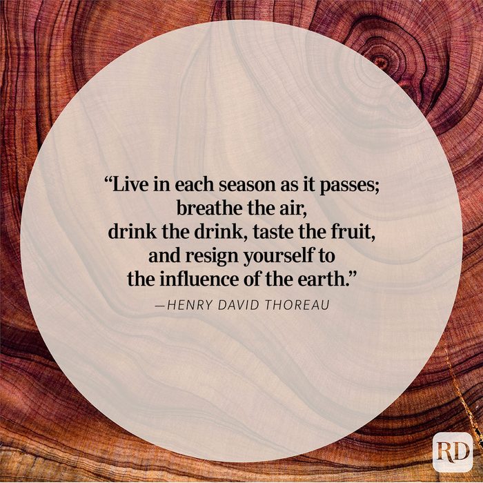 Nature Quote By Henry Davis Thoreau