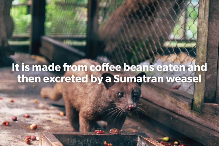 Coffee Trivia Questions Answer