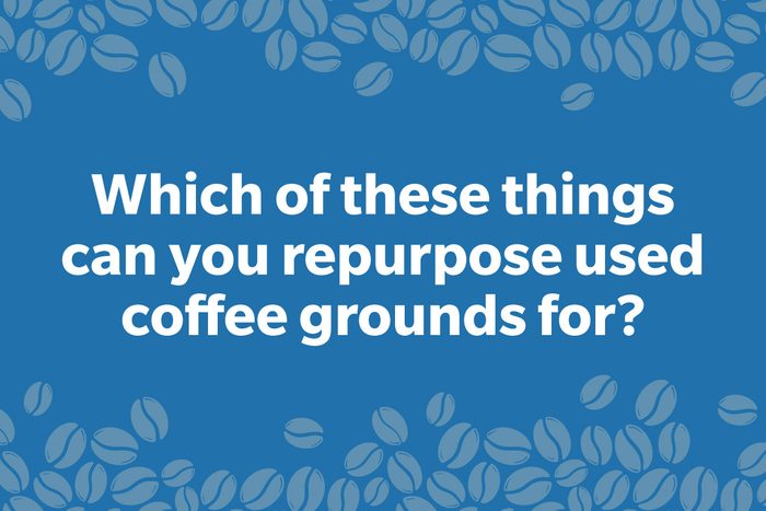 Coffee Trivia Question on a frame of coffee beans graphic dark blue