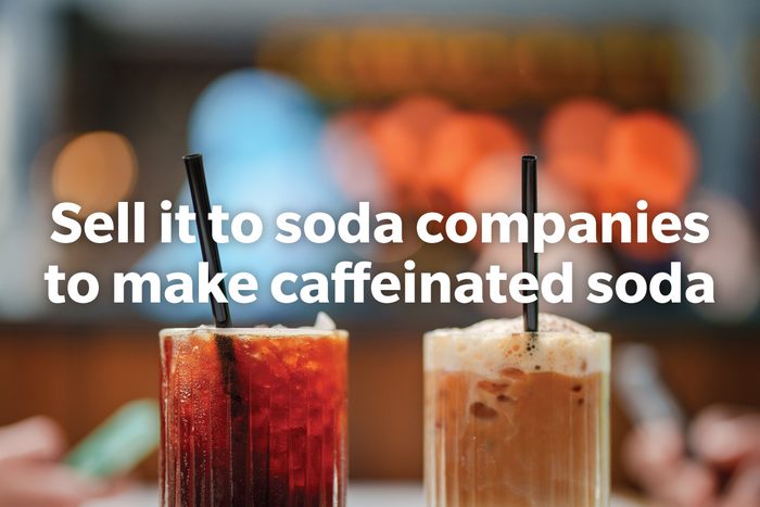 Coffee Trivia Questions Answer