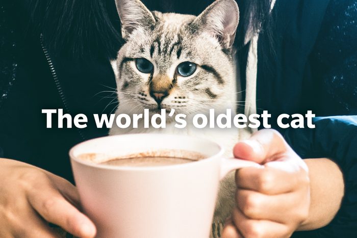 Coffee Trivia Questions Answer