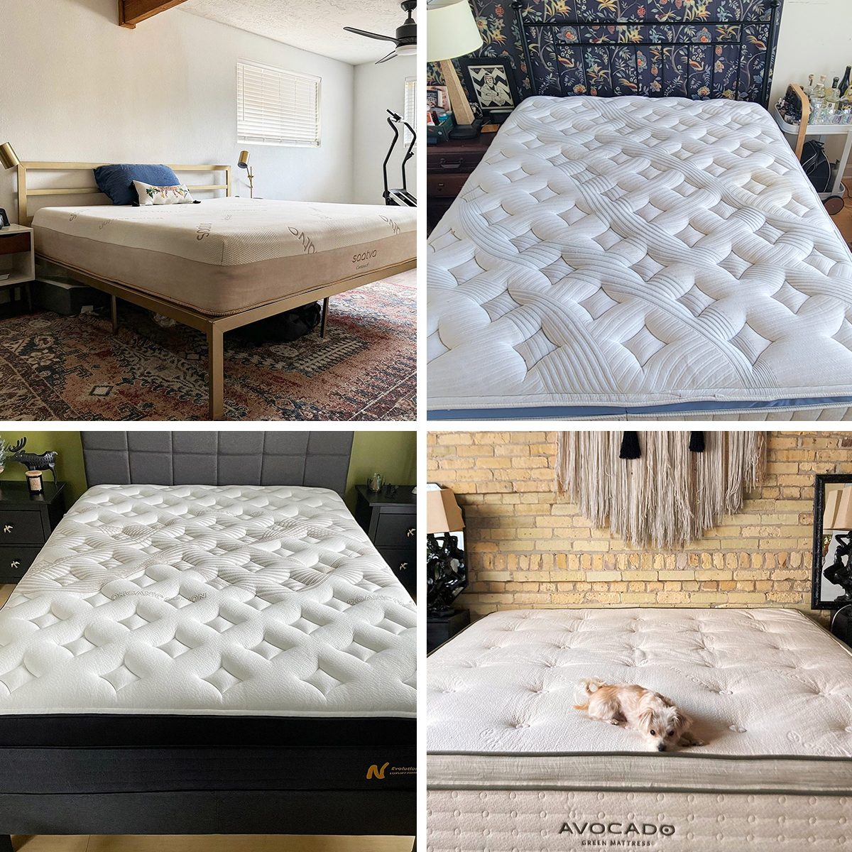 The Best Presidents Day Mattress Sales To Shop In 2025 Ft Ssedit