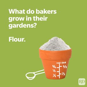 103 Spring Puns That Will Make You Chirp With Laughter Ft
