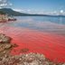 If You See Red Ocean Water, This Is What It Means