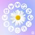 What the 2024 Spring Equinox Means for Your Zodiac Sign