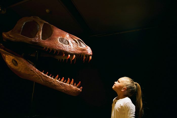 girl looking at dinosaur skull in museum