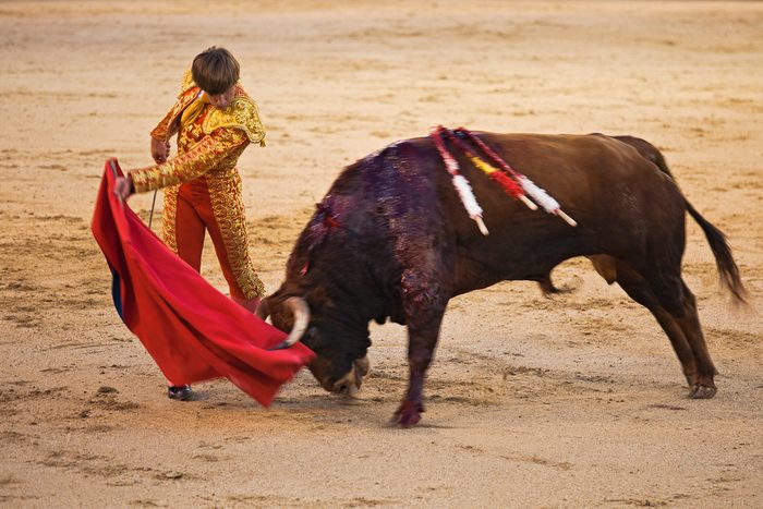 bullfighting