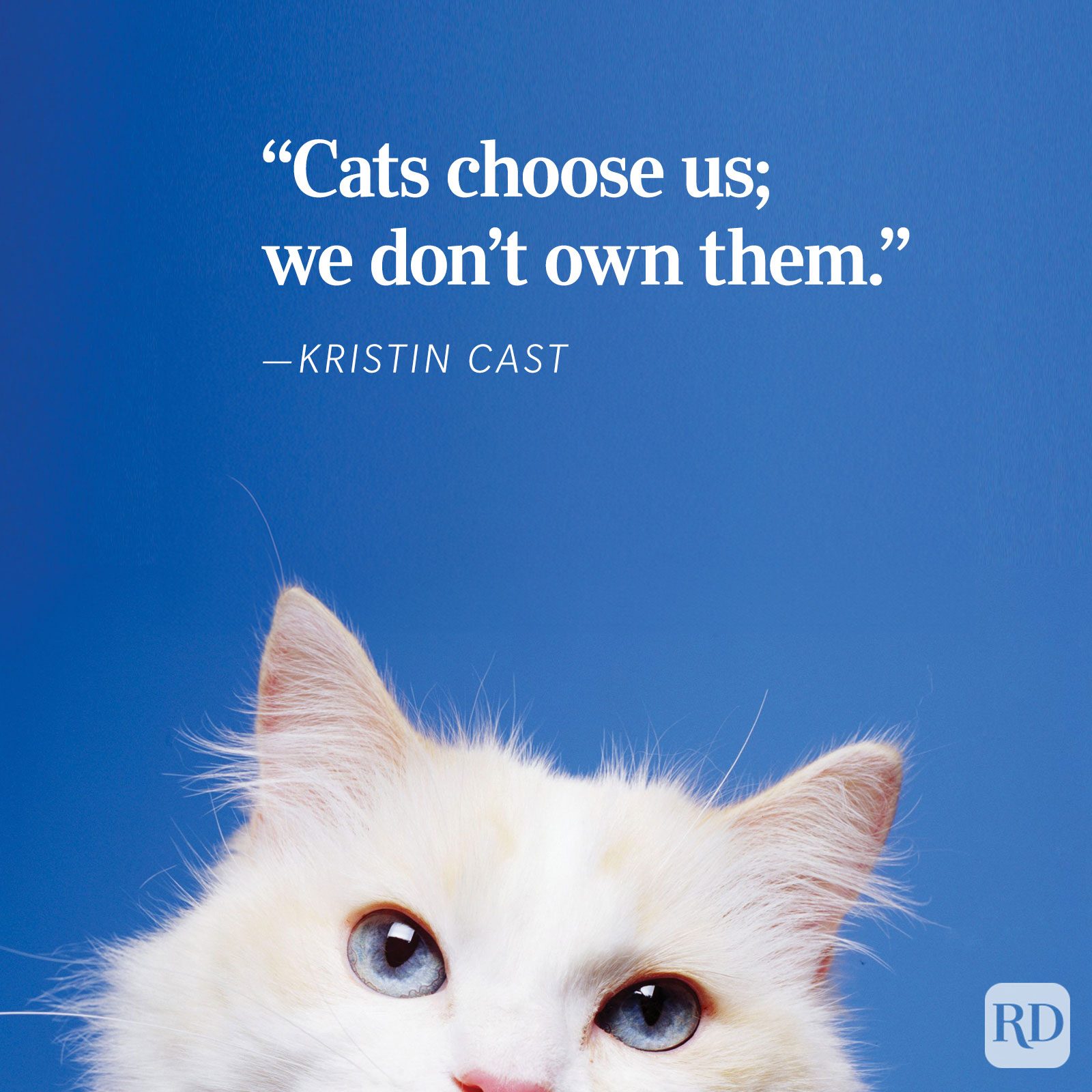 25 Cat Quotes Every Cat Owner Can Appreciate