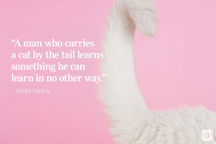 Fluffy cat tail curves against a pink background. Text reads: “A man who carries a cat by the tail learns. - Mark Twain.
