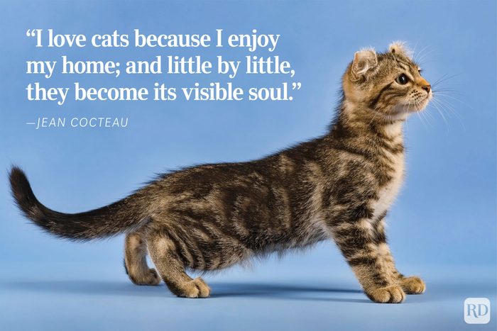A Visible Soul