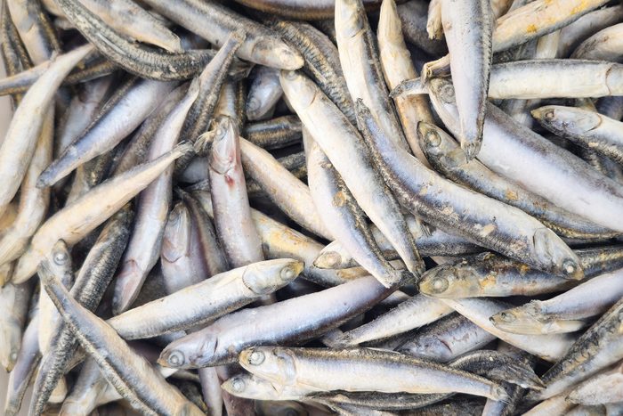 Anchovies Gettyimages 2192633363