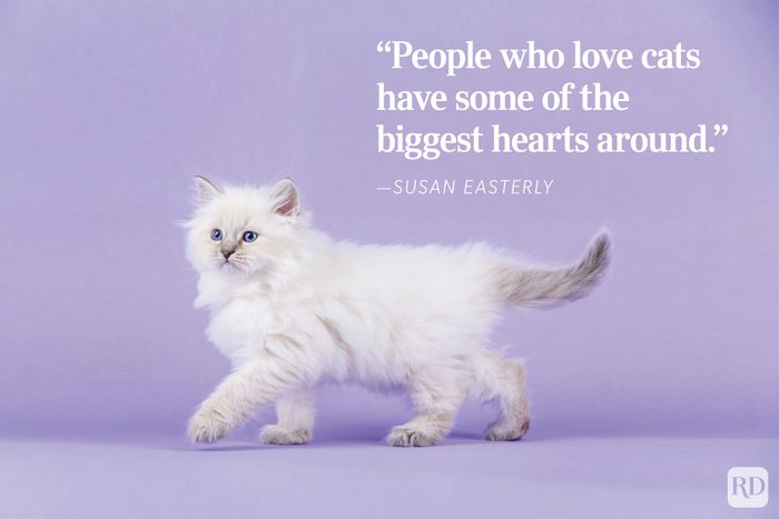 Fluffy white kitten struts on lavender floor, against purple background. Text reads: “People who love cats have some of the biggest hearts around." - ”Susan Easterly."