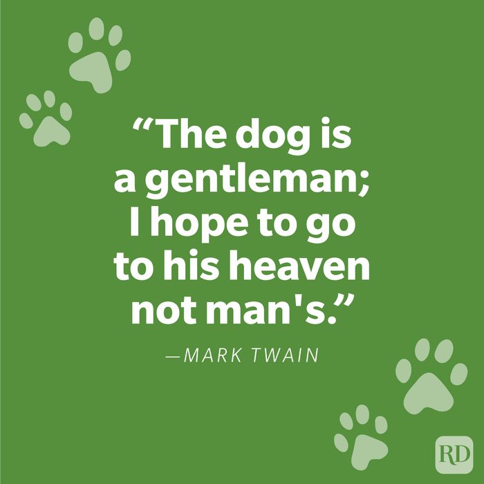 Dog Heaven Quotes Graphic