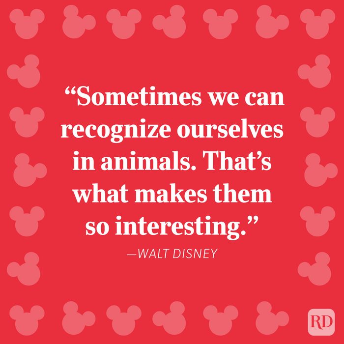 Famous Disney Quotes About Animals And Nature