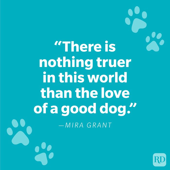 Loss Of A Dog Quotes Graphic