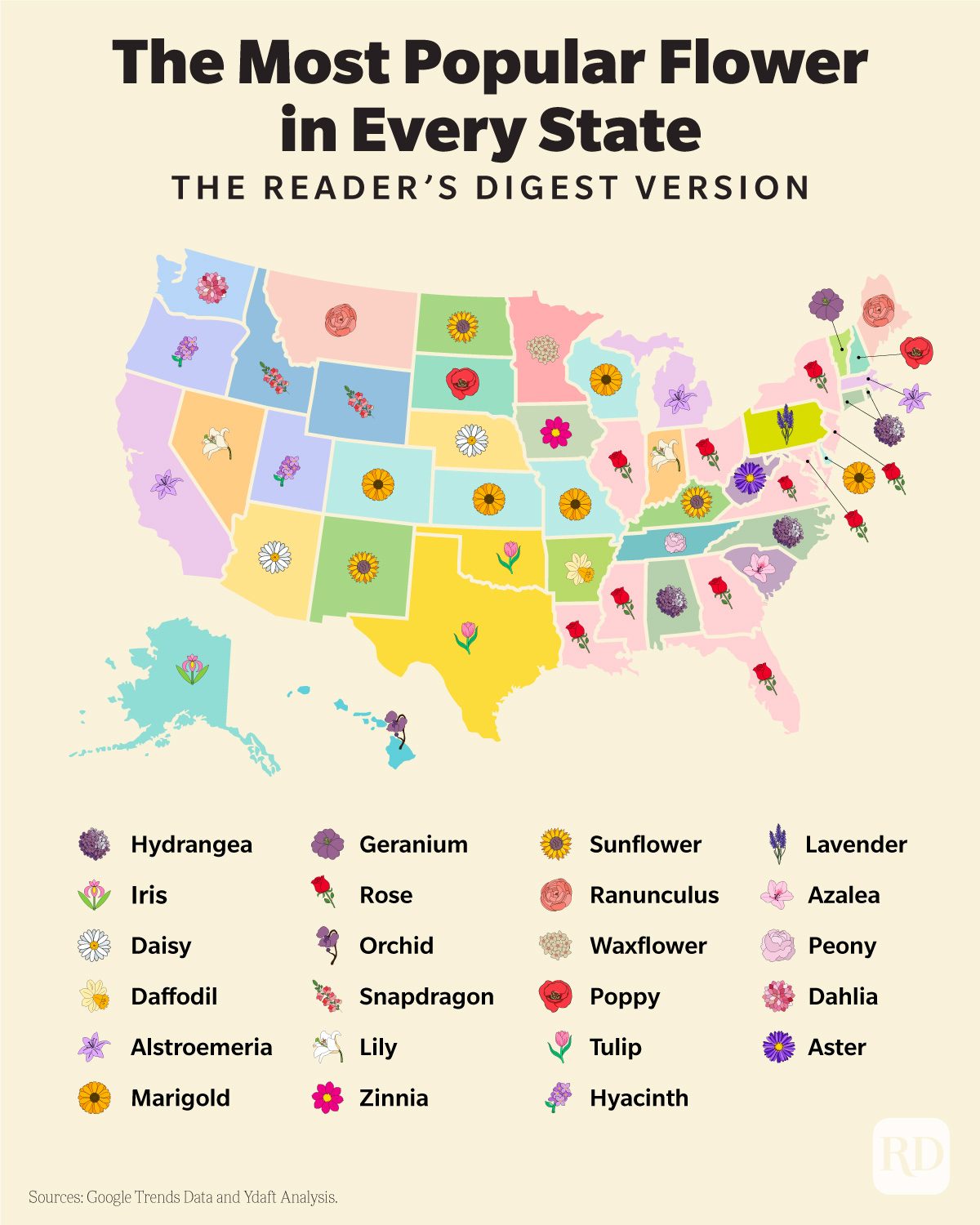 These Are The Most Popular Flowers In Every State Graphic Social