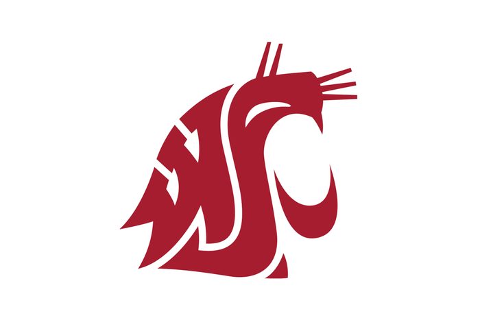 Washington State University logo - The Cougar head is the primary representation of the brand and most recognizable visual symbol of the university.