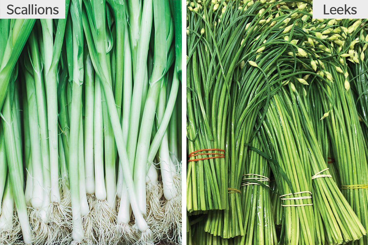 Scallions Vs Leeks Gettyimages 1484246008 1209188544