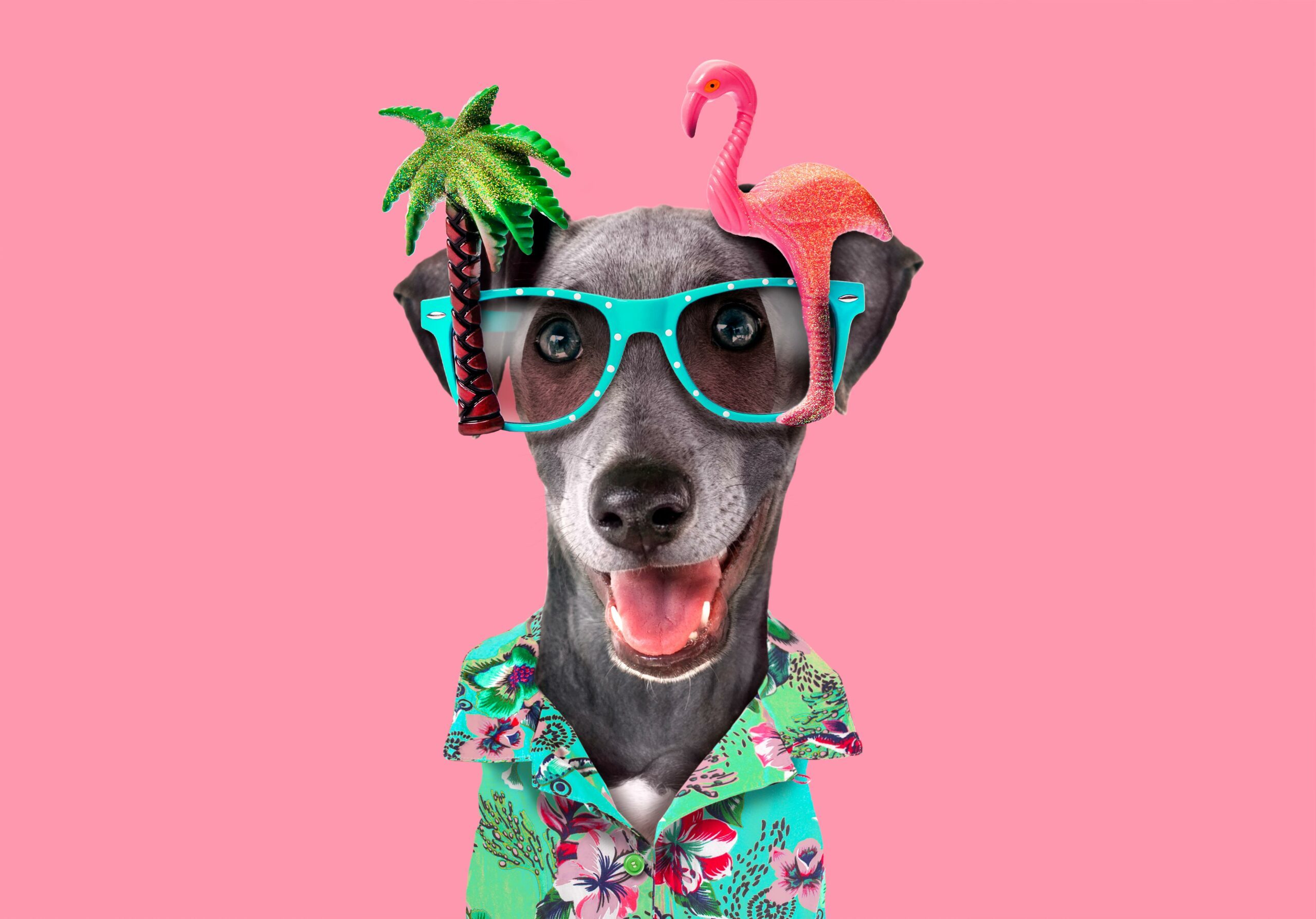 20 Weird and Amazing Things That Only Happen in the Summer