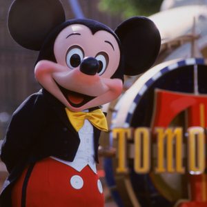 Person Wearing Mickey Mouse Costume at Disneyland Theme Park