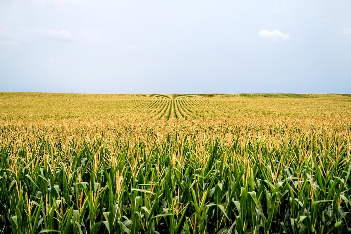 New Report: More Americans Are Moving to the Heartland States—Here’s Why