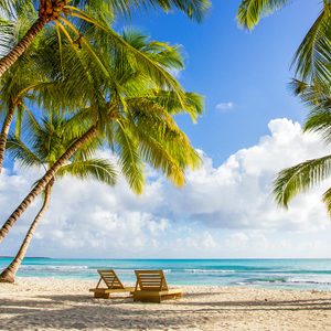 Beautiful caribbean beach on Saona island, Dominican Republic